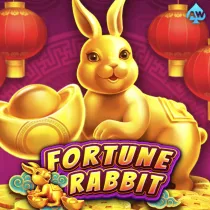 Fortune Rabbit