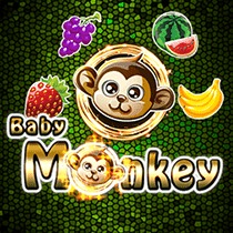 Baby Monkey