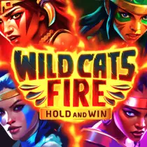 Wild Cats Fire