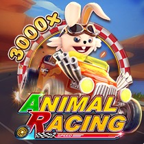 Animal Racing