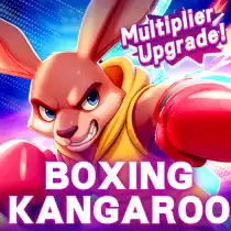 BOXING KANGAROO