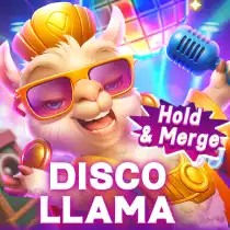 DISCO LLAMA
