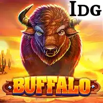 Buffalo