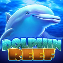 Dolphin Reef