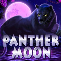 Panther Moon