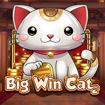 Big Win Cat