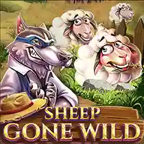 Sheep Gone Wild