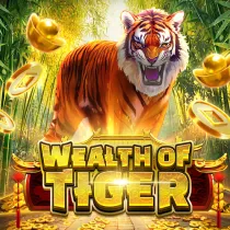 Wealth of Tiger