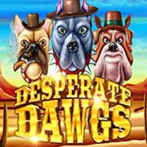 Desperate Dawgs